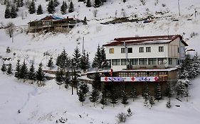 Snow Patrol Lodge